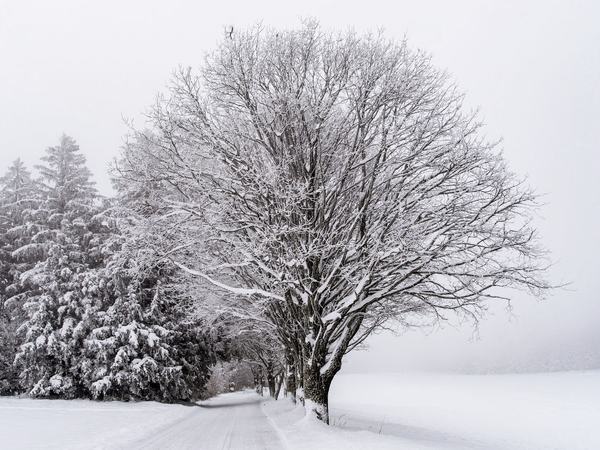 Winterstimmung